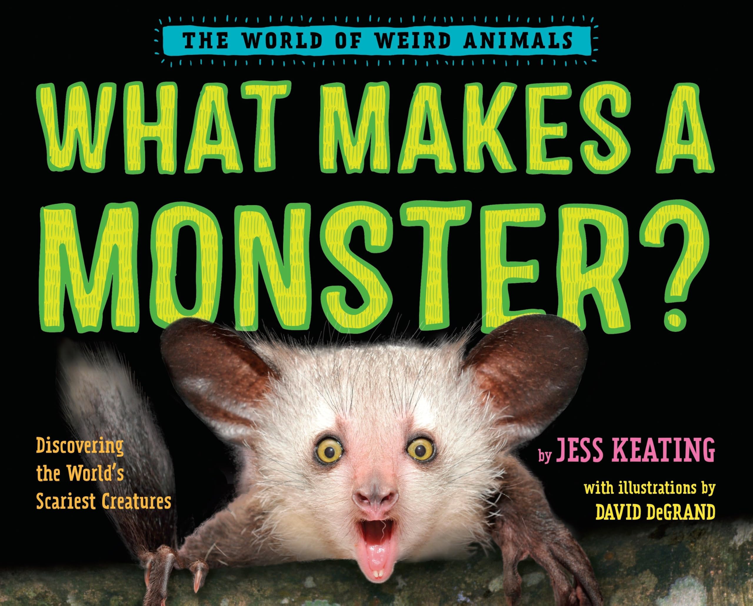 author studies 4b fourth grade author studies jess keating