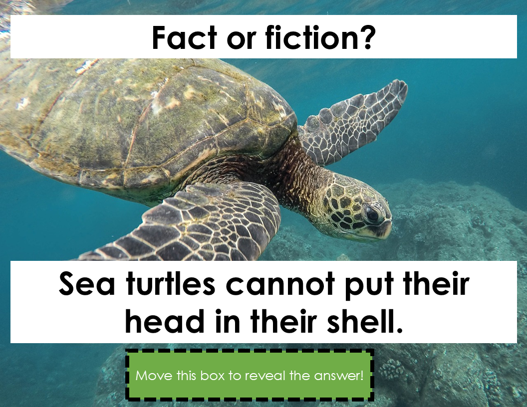 fact or fiction digital citizenship lesson
